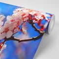 WALL MURAL CHERRY BLOSSOM - WALLPAPERS FLOWERS - WALLPAPERS