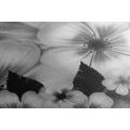 CANVAS PRINT FLOWER FANTASY IN BLACK AND WHITE - BLACK AND WHITE PICTURES - PICTURES