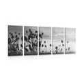 IMPRESSION SUR TOILE EN 5 PARTIES BRINS D'HERBE DANS UN CHAMP EN NOIR ET BLANC - IMPRESSIONS SUR TOILE NOIR ET BLANC - IMPRESSION SUR TOILE