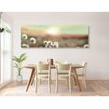 CANVAS PRINT PANORAMA OF A BLOOMING MEADOW - PICTURES OF NATURE AND LANDSCAPE - PICTURES