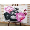 CANVAS PRINT BEAUTIFUL INTERPLAY OF STONES AND ORCHIDS - PICTURES FENG SHUI - PICTURES