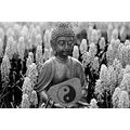 CANVAS PRINT YIN AND YANG BUDDHA IN BLACK AND WHITE - BLACK AND WHITE PICTURES - PICTURES