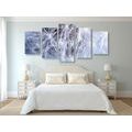 5-PIECE CANVAS PRINT MACRO DANDELION - PICTURES FLOWERS - PICTURES