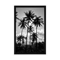 POSTER COCONUT TREES ON THE BEACH IN BLACK AND WHITE - BLACK AND WHITE - POSTERS