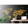 SELF ADHESIVE WALLPAPER INTERESTING MAP - SELF-ADHESIVE WALLPAPERS - WALLPAPERS