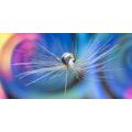 CANVAS PRINT DROP OF DEW ON AN ABSTRACT BACKGROUND - ABSTRACT PICTURES - PICTURES