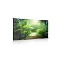 CANVAS PRINT PATH ON THE ISLAND OF SEYCHELLES - PICTURES OF NATURE AND LANDSCAPE - PICTURES