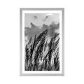 POSTER WITH MOUNT GRASS IN BLACK AND WHITE - BLACK AND WHITE - POSTERS