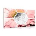 CANVAS PRINT GERBERA IN A HEXAGON - PICTURES FLOWERS - PICTURES