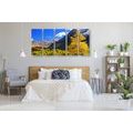 5-PIECE CANVAS PRINT BEAUTIFUL NATURE IN KAMCHATKA, RUSSIA - PICTURES OF NATURE AND LANDSCAPE - PICTURES