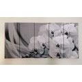 5-PIECE CANVAS PRINT ORCHID ON A CANVAS IN BLACK AND WHITE - BLACK AND WHITE PICTURES - PICTURES