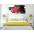 CANVAS PRINT ORCHID AND ZEN STONES ON A WHITE BACKGROUND - PICTURES FENG SHUI{% if product.category.pathNames[0] != product.category.name %} - PICTURES{% endif %}