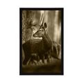 POSTER DEER IN A PINE FOREST IN SEPIA - BLACK AND WHITE - POSTERS