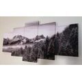 QUADRO IN 5 PARTI MONTAGNA GHIACCIATA IN BIANCO E NERO - QUADRI BIANCO E NERO - QUADRI