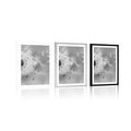 POSTER WITH MOUNT MAGICAL DANDELION IN BLACK AND WHITE - BLACK AND WHITE - POSTERS