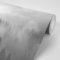 SELF ADHESIVE WALL MURAL BLACK AND WHITE FOG OVER THE FOREST - SELF-ADHESIVE WALLPAPERS - WALLPAPERS