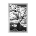 AFFICHE ARBRE EN NOIR ET BLANC COUVERT DE NUAGES - NOIR ET BLANC - AFFICHES