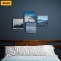 CANVAS PRINT SET WONDERS OF SNOWY NATURE - SET OF PICTURES - PICTURES