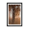 POSTER WITH MOUNT MISTY AUTUMN FOREST - NATURE - POSTERS