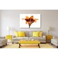 CANVAS PRINT ORANGE LILY - PICTURES FLOWERS - PICTURES