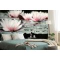 SELF ADHESIVE WALL MURAL LOTUS FLOWER - WALLPAPERS - 🔥 TOTAL SALE 🔥