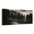 OBRAZ RANNÍ OPAR NAD LESEM - PICTURES FOREST - PICTURES