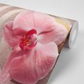 TAPETE MEERESSAND UND ROSA ORCHIDEE - TAPETEN MIT FENG SHUI-MOTIVEN - TAPETEN