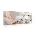 WANDBILD WEISSE ORCHIDEE AUF LEINWAND - BILDER BLUMEN - BILDER