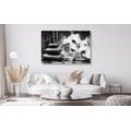 CANVAS PRINT SPA STILL LIFE IN BLACK AND WHITE - BLACK AND WHITE PICTURES - PICTURES