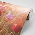 WALL MURAL SUN-DRENCHED POPPIES - WALLPAPERS FLOWERS - WALLPAPERS