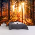 SELF ADHESIVE WALLPAPER FOREST IN AUTUMN - WALLPAPERS{% if product.category.pathNames[0] != product.category.name %} - WALLPAPERS{% endif %}