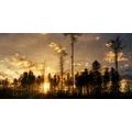 CANVAS PRINT EARLY EVENING IN THE FOREST - PICTURES OF NATURE AND LANDSCAPE - PICTURES