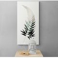 CANVAS PRINT FERN LEAF WITH A TOUCH OF MINIMALISM - PICTURES OF TREES AND LEAVES - PICTURES