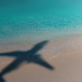 WANDBILD STRAND UND FLUGZEUGSCHATTEN - BILDER MEER UND STRAND - BILDER