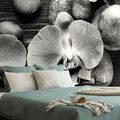 WALL MURAL BLACK AND WHITE ORCHID AND STONES - BLACK AND WHITE WALLPAPERS - WALLPAPERS