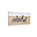 CANVAS PRINT THREE ZEBRAS IN THE SAVANNAH - PICTURES OF ANIMALS{% if product.category.pathNames[0] != product.category.name %} - PICTURES{% endif %}