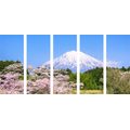 5-PIECE CANVAS PRINT FUJI VOLCANO - PICTURES OF NATURE AND LANDSCAPE - PICTURES