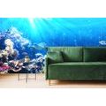 SELF ADHESIVE WALLPAPER TROPICAL FISH - SELF-ADHESIVE WALLPAPERS - WALLPAPERS