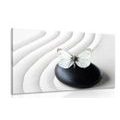 CANVAS PRINT WHITE BUTTERFLY ON A BLACK STONE - PICTURES FENG SHUI - PICTURES