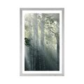 POSTER MIT PASSEPARTOUT SONNENSTRAHLEN IM NEBLIGEN WALD - NATUR - POSTER