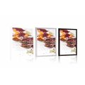 POSTER AROMATIC MIXTURE OF SPICES - WITH A KITCHEN MOTIF - POSTERS