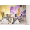 SELF ADHESIVE WALLPAPER FLOWER WITH A SPRING TOUCH - SELF-ADHESIVE WALLPAPERS - WALLPAPERS