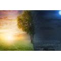QUADRO SU TELA – GIORNO E NOTTE - QUADRI DI NATURA E PAESAGGIO - STAMPE E QUADRI