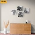 CANVAS PRINT SET ANIMALS IN BLACK AND WHITE WATERCOLOR DESIGN - SET OF PICTURES - PICTURES