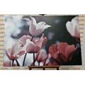 CANVAS PRINT SPRING TULIPS IN A PARK - PICTURES FLOWERS{% if product.category.pathNames[0] != product.category.name %} - PICTURES{% endif %}