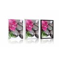 POSTER BLOOMING ORCHID AND WELLNESS STONES - FENG SHUI - POSTERS