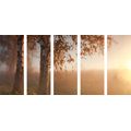 5-PIECE CANVAS PRINT MISTY AUTUMN FOREST - PICTURES OF NATURE AND LANDSCAPE - PICTURES