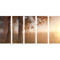 IMPRESSION SUR TOILE EN 5 PARTIES FORÊT D'AUTOMNE BRUMEUSE - IMPRESSION SUR TOILE DE NATURE ET PAYSAGE - IMPRESSION SUR TOILE