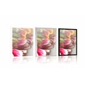 POSTER BOUQUET OF COLORFUL TULIPS - FLOWERS - POSTERS
