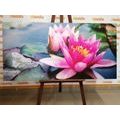 CANVAS PRINT PINK LOTUS FLOWER - PICTURES FLOWERS - PICTURES